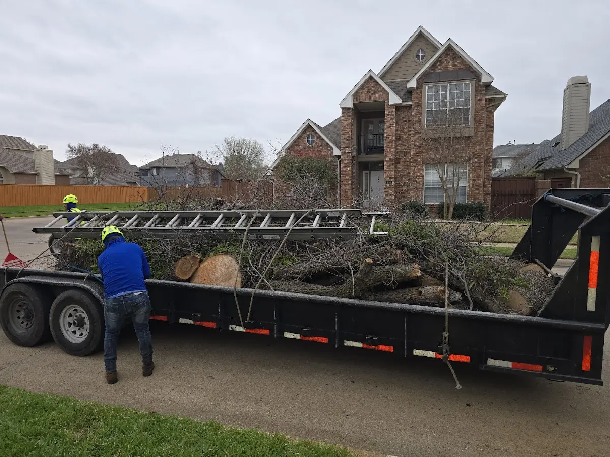 Expert Lot Clearing with proper safety equipment in Mallory